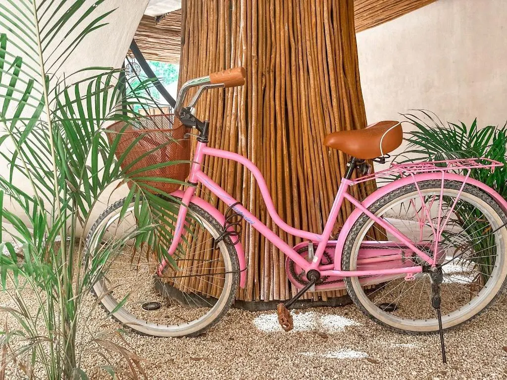 Casita Alyssa Traveler'S Oasis Apartment Tulum Mexico